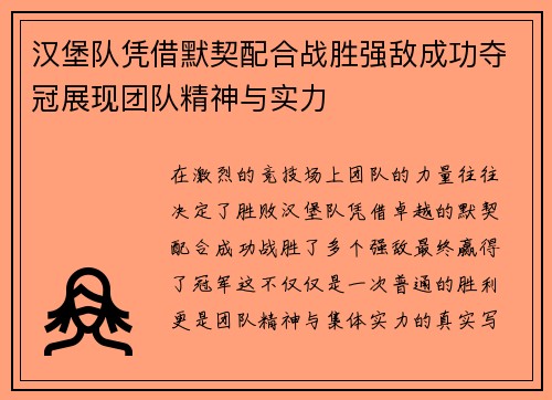 汉堡队凭借默契配合战胜强敌成功夺冠展现团队精神与实力